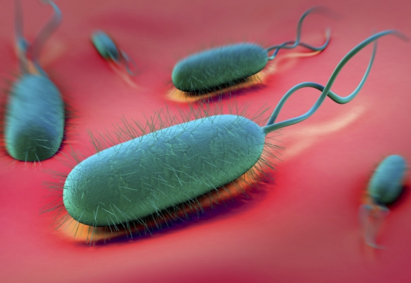 Helicobacter pylori - čo to je a ako sa ho zbaviť?